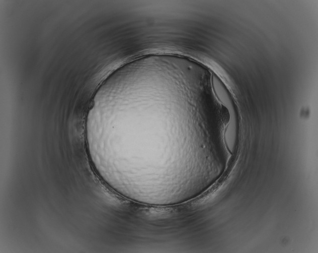 X0000090450857200708031216