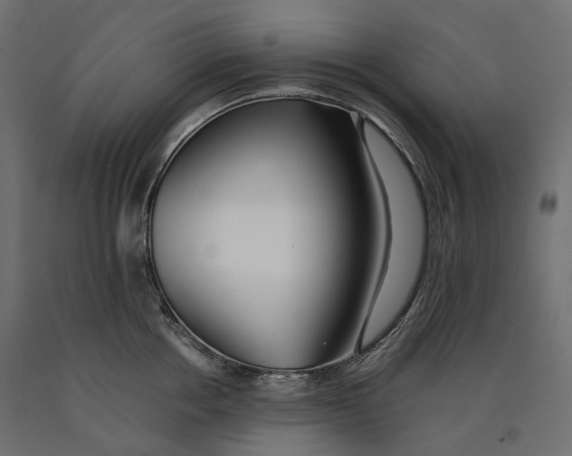 X0000090450858200708031216