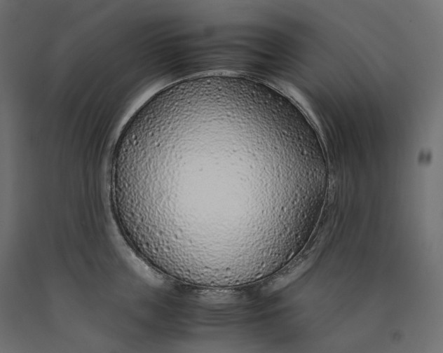 X0000090450859200708031216