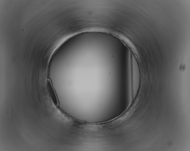 X0000090450860200708031216