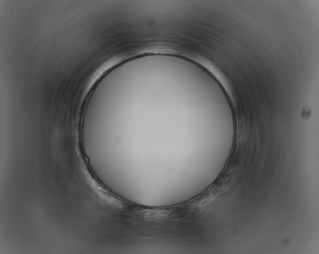 X0000090450861200708031216