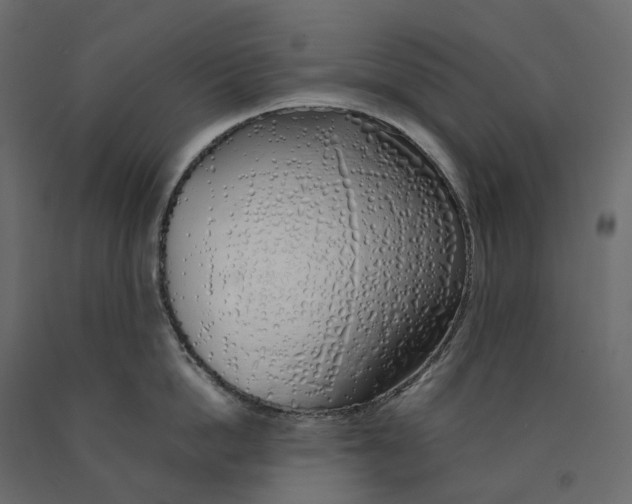 X0000090450862200708031216