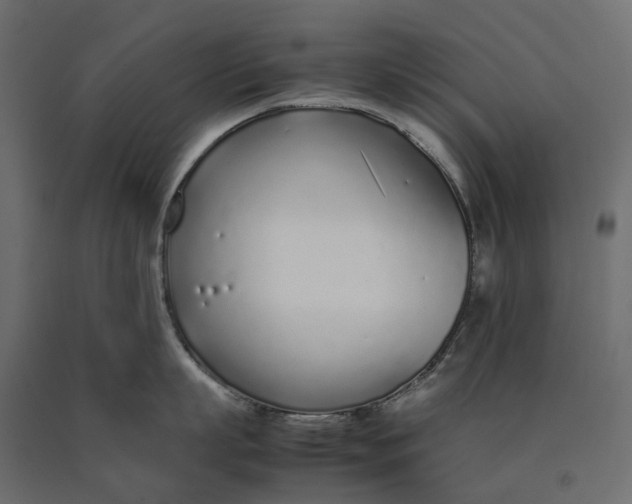 X0000090450863200708031216