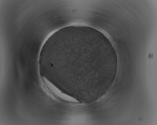 X0000090450864200708031216