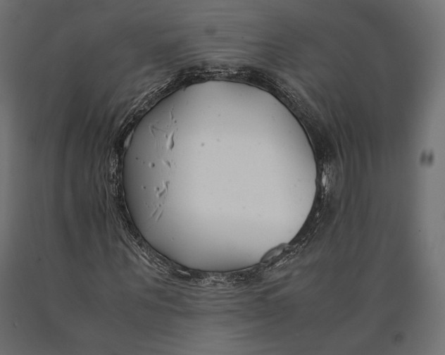 X0000090450867200708031215