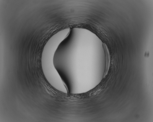 X0000090450868200708031215