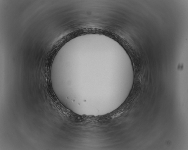 X0000090450870200708031215