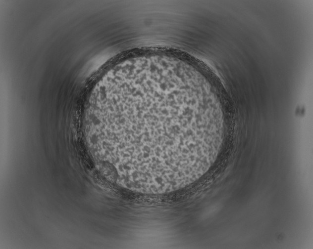 X0000090450871200708031215