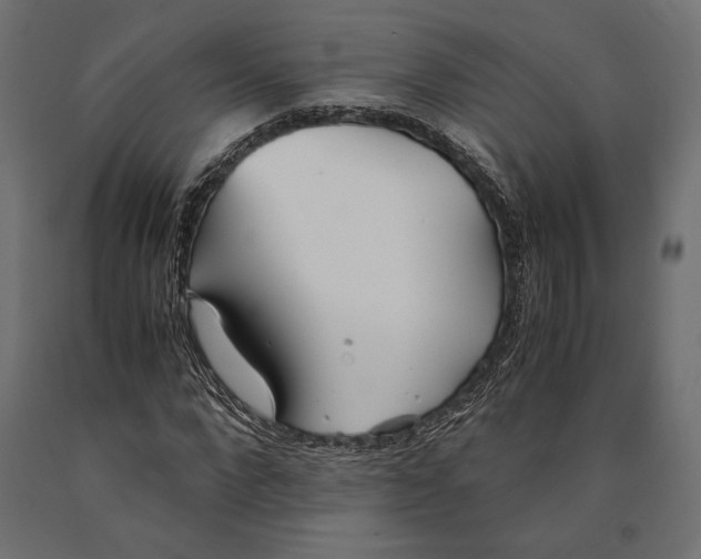 X0000090450872200708031215