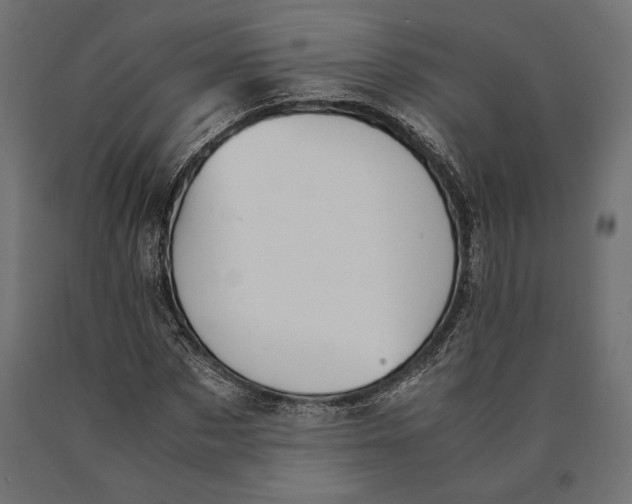 X0000090450873200708031215