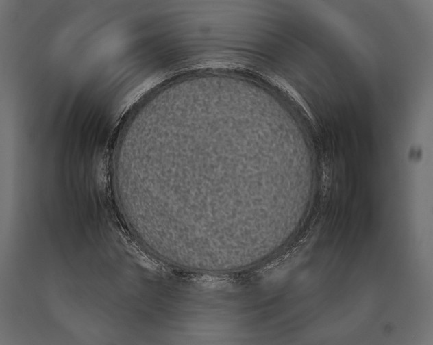 X0000090450874200708031215