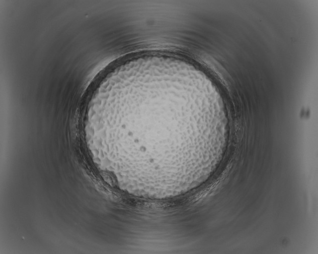 X0000090450875200708031215