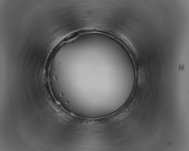 X0000090450876200708031215