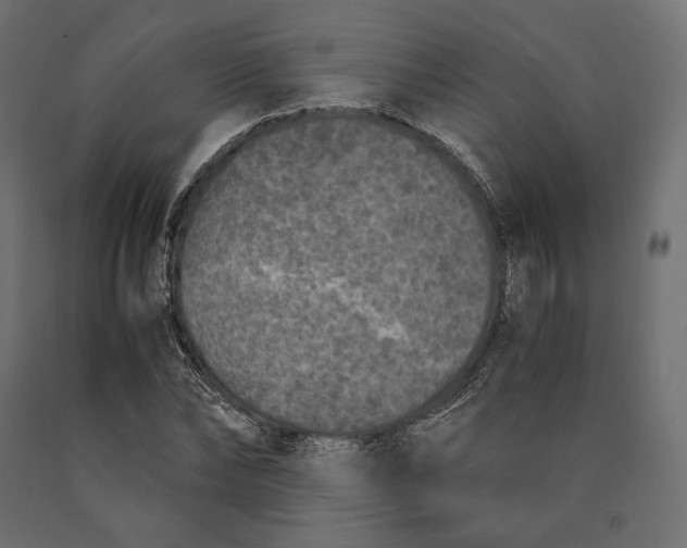 X0000090450878200708031215