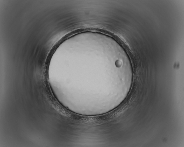 X0000090450879200708031215