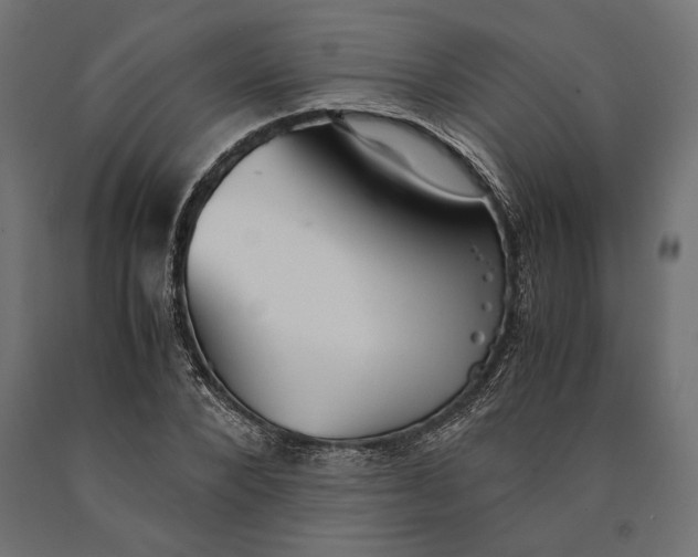 X0000090450880200708031215