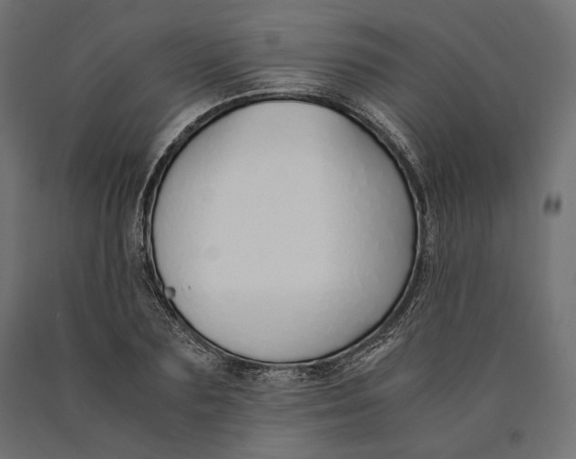 X0000090450883200708031215