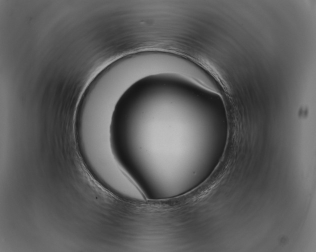 X0000090450884200708031215