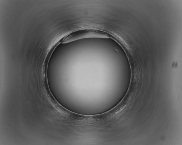 X0000090450885200708031215