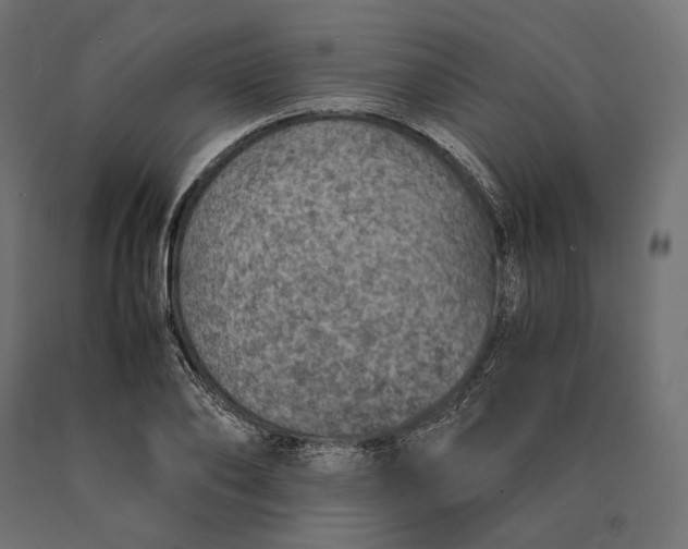 X0000090450886200708031215