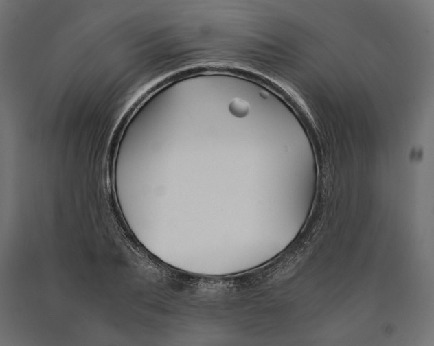 X0000090450887200708031215