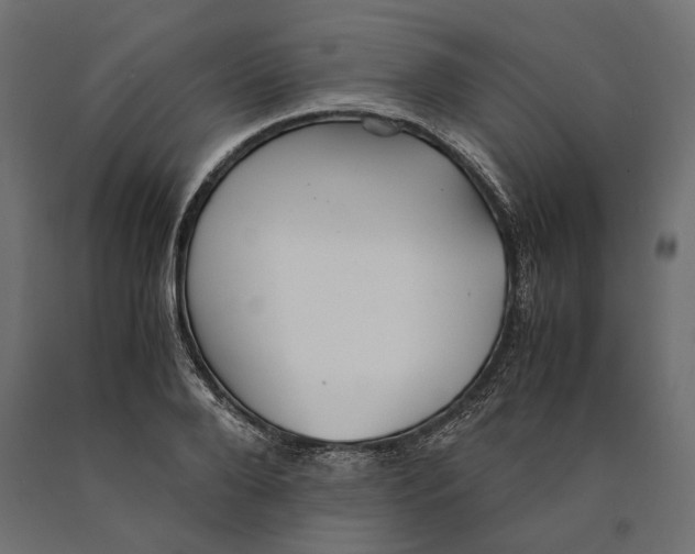 X0000090450888200708031215