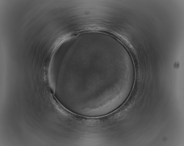 X0000090450889200708031215