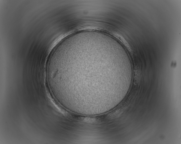 X0000090450890200708031215