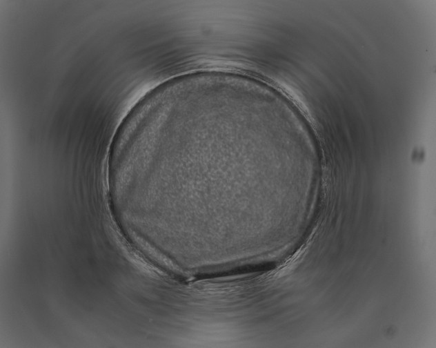 X0000090450891200708031215