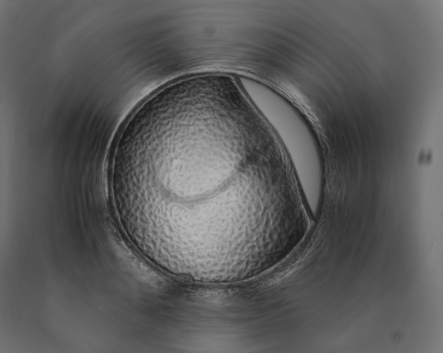 X0000090450892200708031215