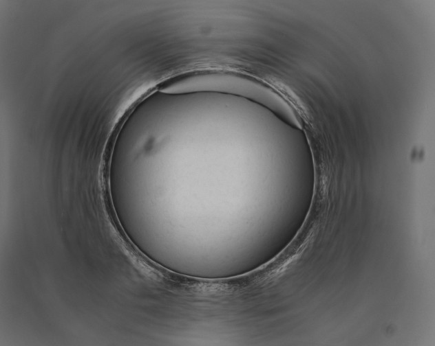 X0000090450893200708031215