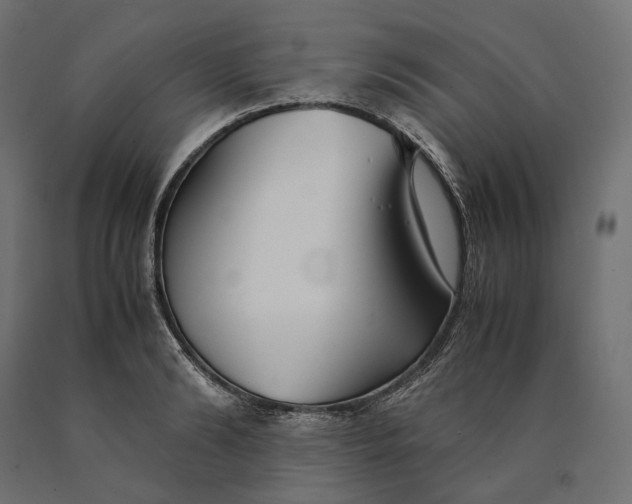 X0000090450894200708031215