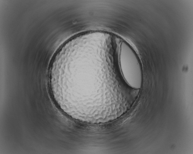 X0000090450895200708031215