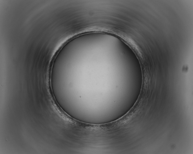 X0000090450896200708031215