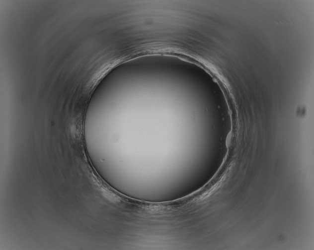 X0000090450897200708031215