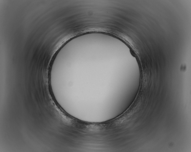 X0000090450898200708031215