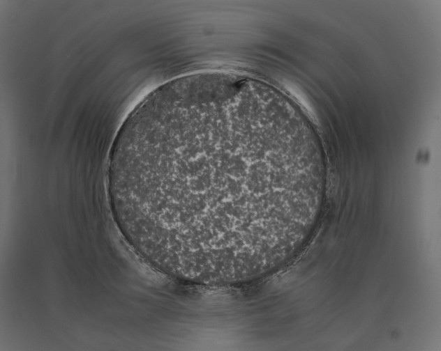 X0000090450899200708031215