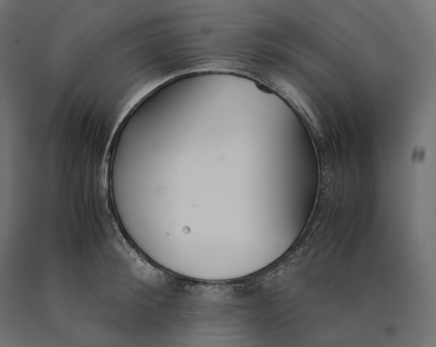 X0000090450900200708031215