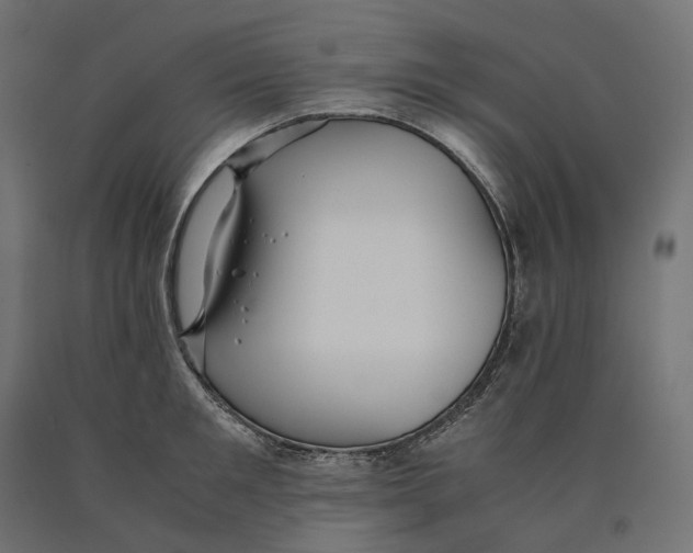 X0000090450901200708031215