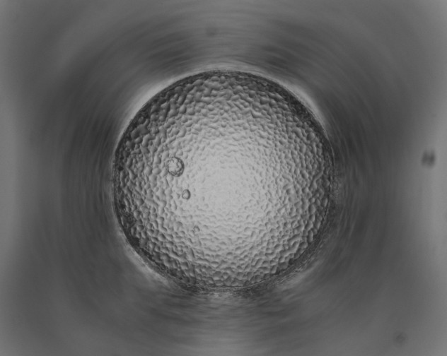 X0000090450903200708031215