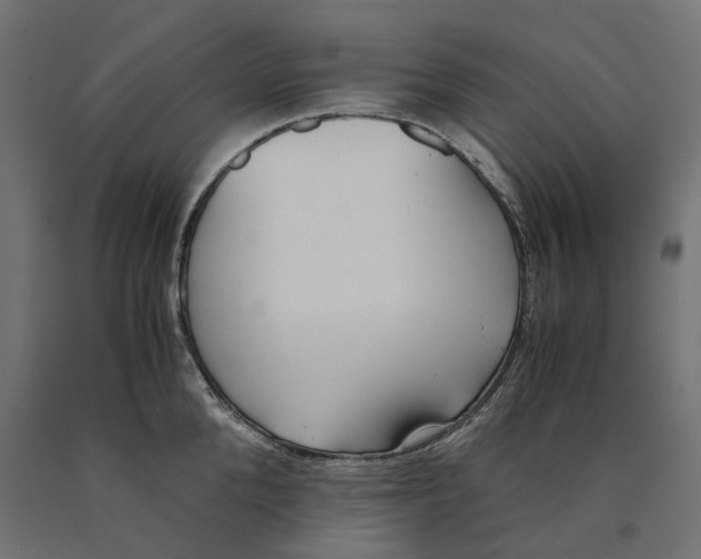 X0000090450904200708031215