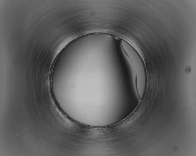 X0000090450906200708031215