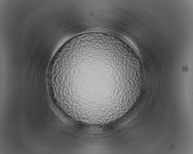 X0000090450907200708031214