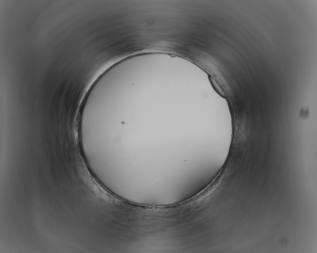 X0000090450908200708031214