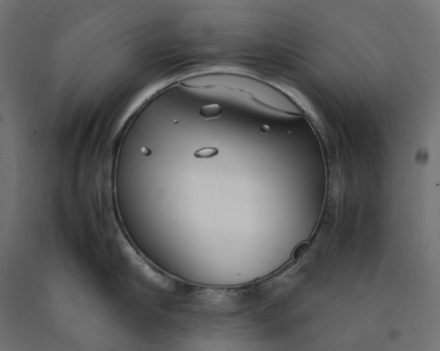 X0000090450910200708031214