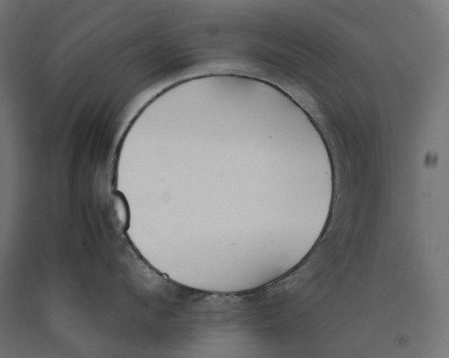 X0000090450912200708031214