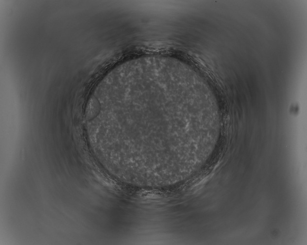 X0000090450913200708031214