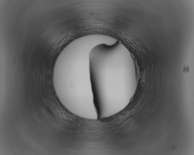 X0000090450916200708031214