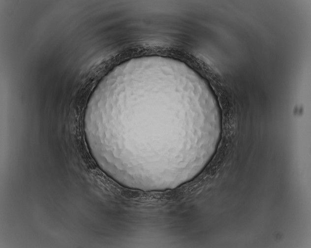 X0000090450917200708031214