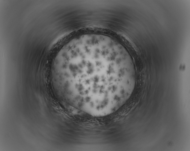 X0000090450919200708031214